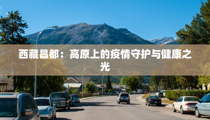 贵州金沙最新疫情：科学防控下的平安守护