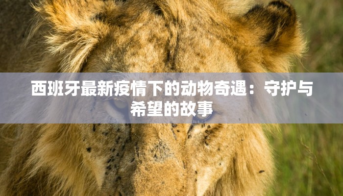 西班牙最新疫情下的动物奇遇：守护与希望的故事