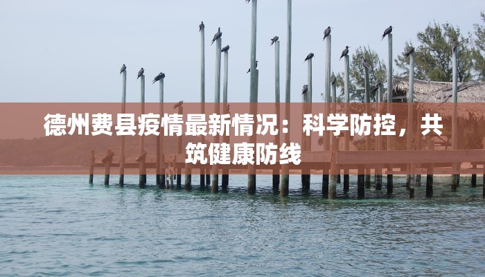 德州费县疫情最新情况：科学防控，共筑健康防线