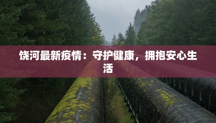 饶河最新疫情：守护健康，拥抱安心生活