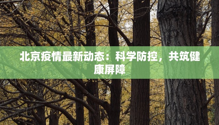 北京疫情最新动态：科学防控，共筑健康屏障