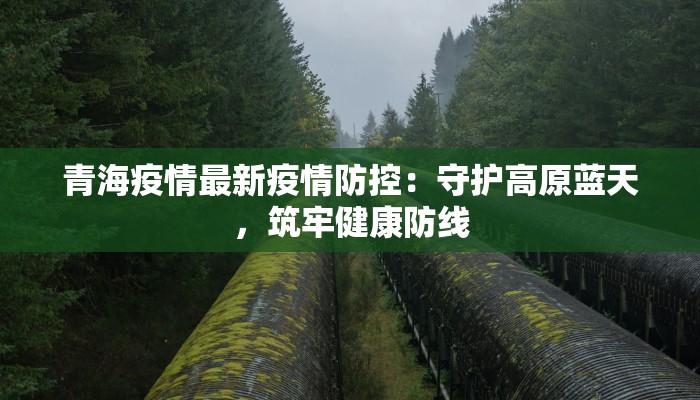 喀什疫情最新播报