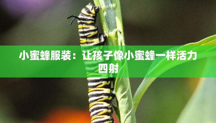 小蜜蜂服装:让孩子像小蜜蜂一样活力四射 小蜜蜂服装:让孩子像小蜜蜂一样活力四射