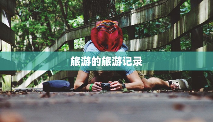 旅游的旅游记录