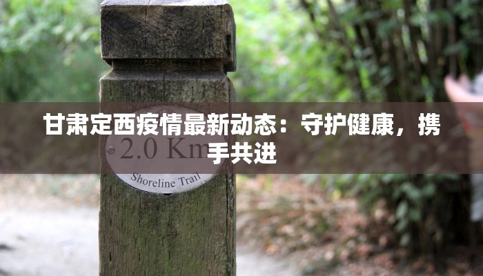 甘肃定西疫情最新动态:守护健康,携手共进 甘肃定西疫情最新动态:守护健康,携手共进