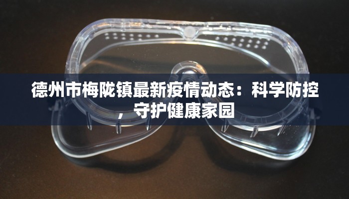 德州市梅陇镇最新疫情动态:科学防控,守护健康家园 德州市梅陇镇最新疫情动态:科学防控,守护健康家园