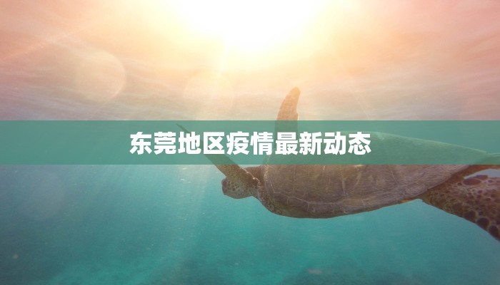 东莞地区疫情最新动态