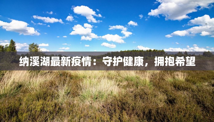 纳溪湖最新疫情：守护健康，拥抱希望