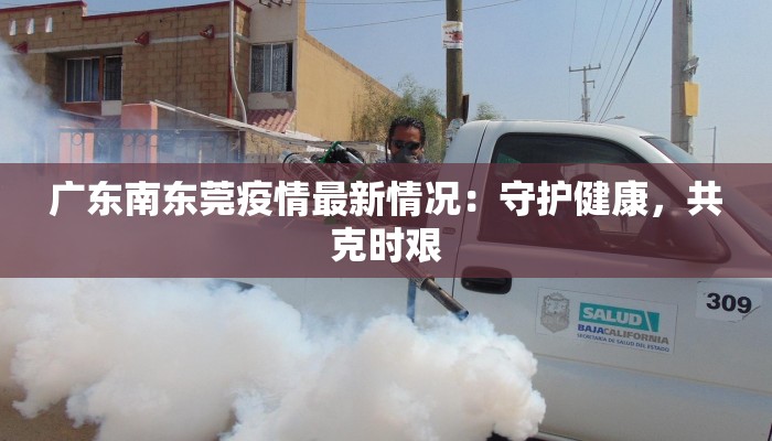 广东南东莞疫情最新情况:守护健康,共克时艰 广东南东莞疫情最新情况:守护健康,共克时艰