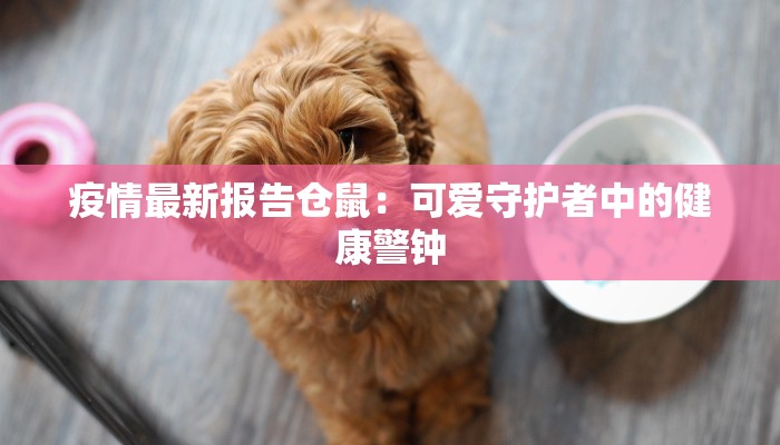 疫情最新报告仓鼠:可爱守护者中的健康警钟 疫情最新报告仓鼠:可爱守护者中的健康警钟