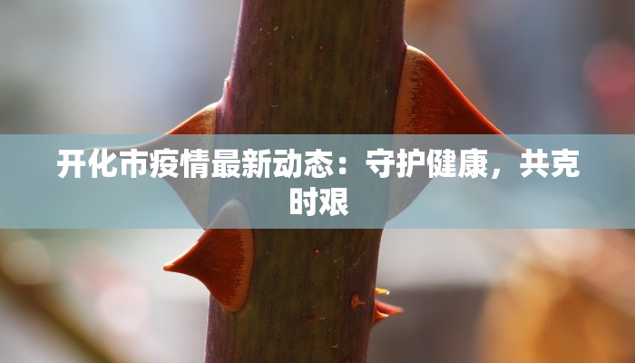 银川最新疫情最新报道：守护健康，共克时艰