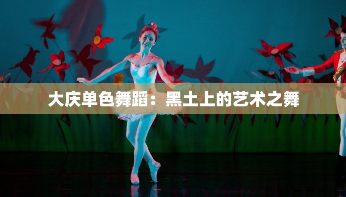 大庆单色舞蹈：黑土上的艺术之舞