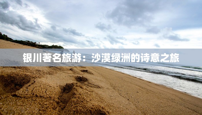 银川著名旅游:沙漠绿洲的诗意之旅 银川著名旅游:沙漠绿洲的诗意之旅