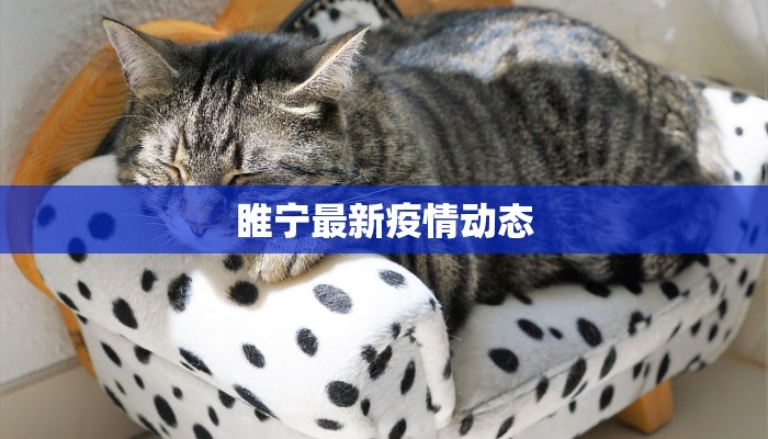 睢宁最新疫情动态 睢宁最新疫情动态