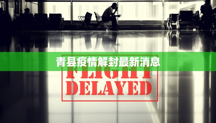 浙江郑州疫情最新情况：科学防控，共筑健康屏障