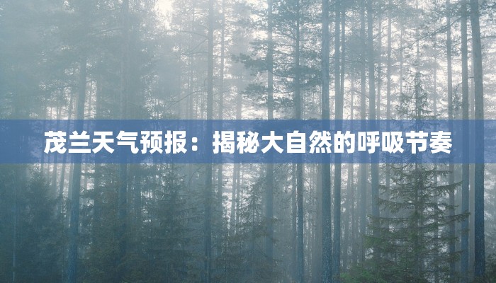 茂兰天气预报:揭秘大自然的呼吸节奏 茂兰天气预报:揭秘大自然的呼吸节奏