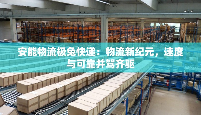 安能物流极兔快递：物流新纪元，速度与可靠并驾齐驱