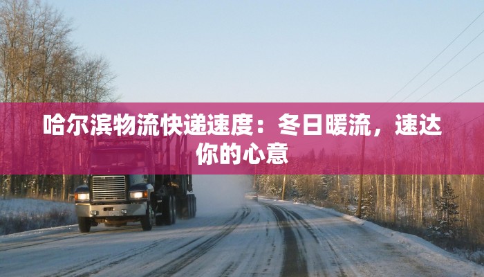 哈尔滨物流快递速度：冬日暖流，速达你的心意