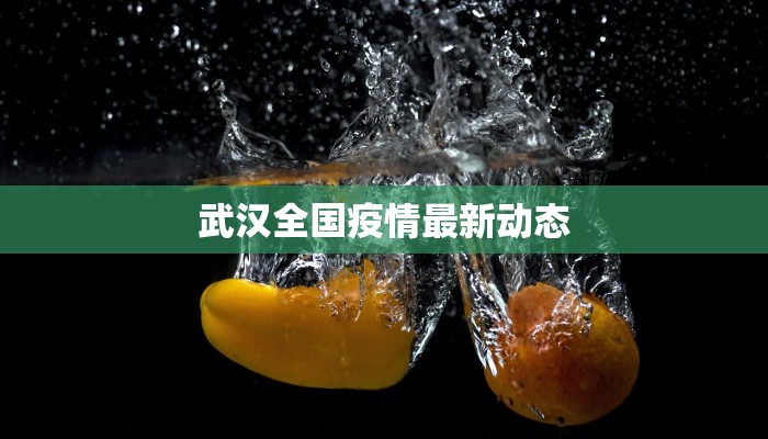 武汉全国疫情最新动态 武汉全国疫情最新动态