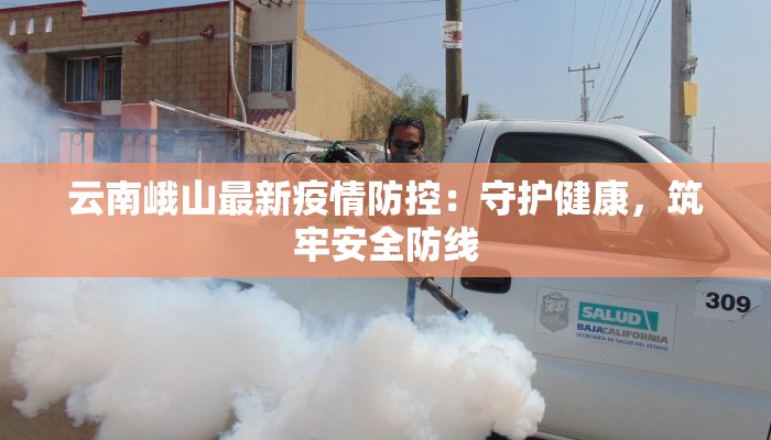 云南峨山最新疫情防控：守护健康，筑牢安全防线