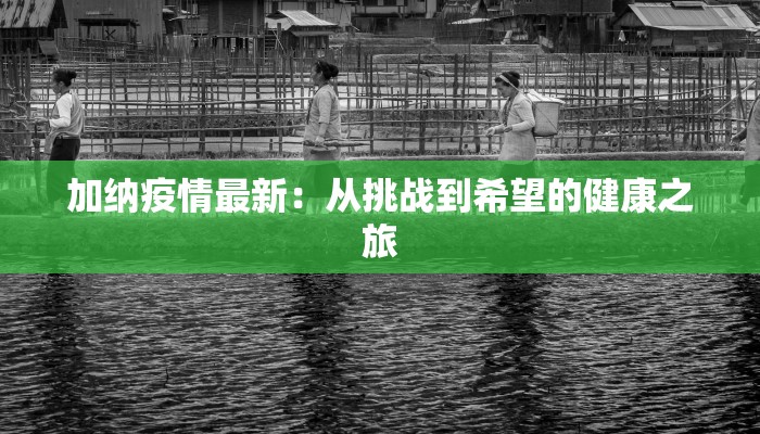 加纳疫情最新：从挑战到希望的健康之旅