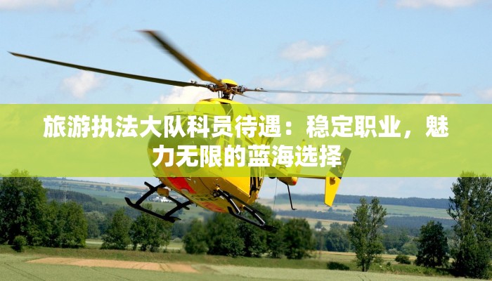 旅游执法大队科员待遇：稳定职业，魅力无限的蓝海选择