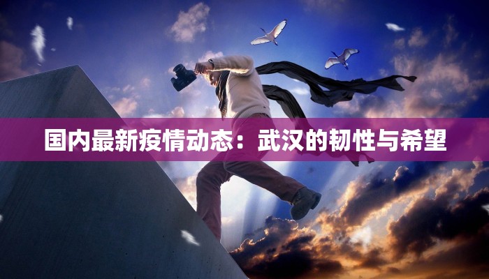 国内最新疫情动态：武汉的韧性与希望