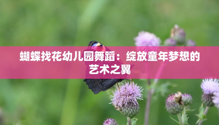 蝴蝶找花幼儿园舞蹈:绽放童年梦想的艺术之翼 蝴蝶找花幼儿园舞蹈:绽放童年梦想的艺术之翼