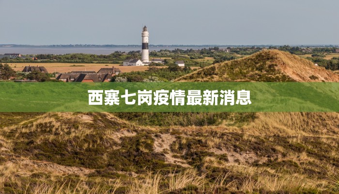 西寨七岗疫情最新消息 西寨七岗疫情最新消息