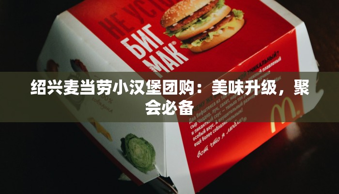 绍兴麦当劳小汉堡团购:美味升级,聚会必备 绍兴麦当劳小汉堡团购:美味升级,聚会必备