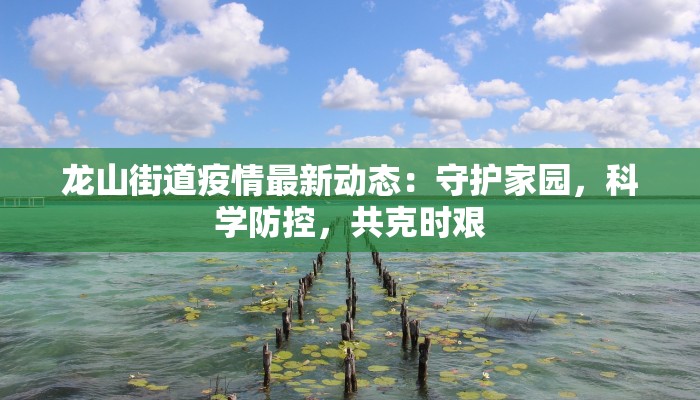 顺义最新疫情等级