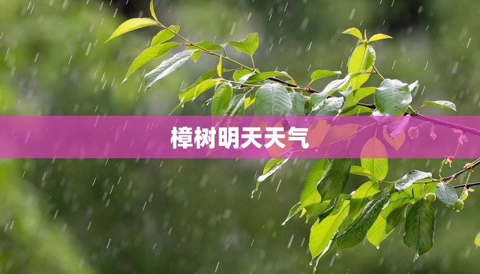 樟树明天天气 樟树明天天气