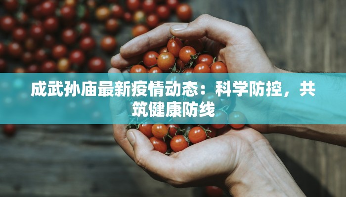 成武孙庙最新疫情动态:科学防控,共筑健康防线 成武孙庙最新疫情动态:科学防控,共筑健康防线