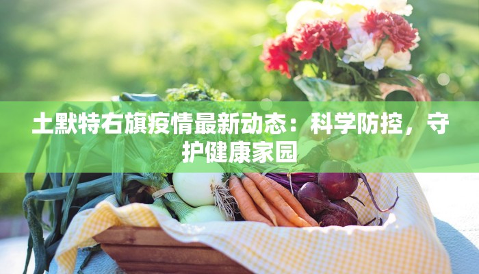 土默特右旗疫情最新动态：科学防控，守护健康家园