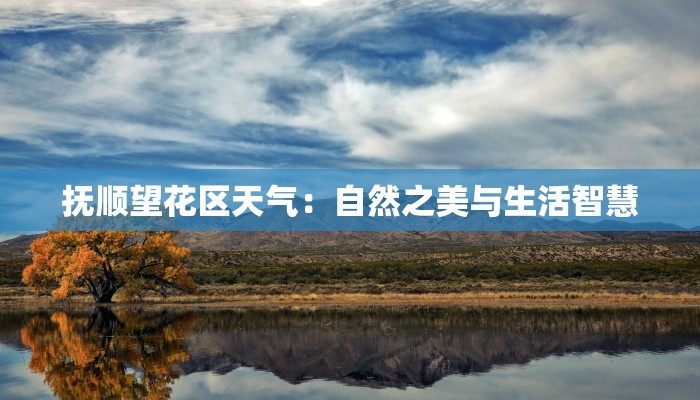 君庭中餐厅团购:味蕾的盛宴,优惠的惊喜 君庭中餐厅团购:味蕾的盛宴,优惠的惊喜