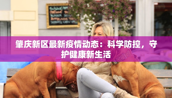 江苏最新疫情日报