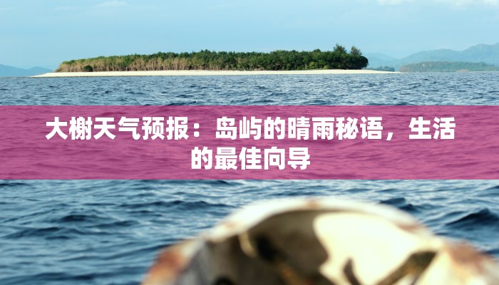 舞蹈服练功服半袖：优雅与舒适的完美融合