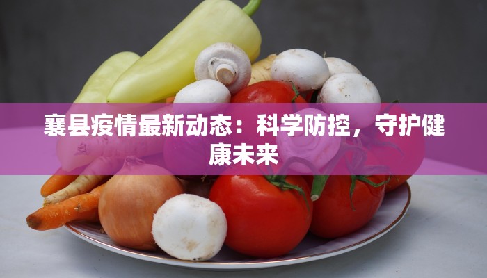 襄县疫情最新动态：科学防控，守护健康未来