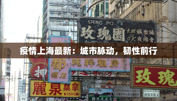 江华义工疫情最新：温暖守护，共克时艰