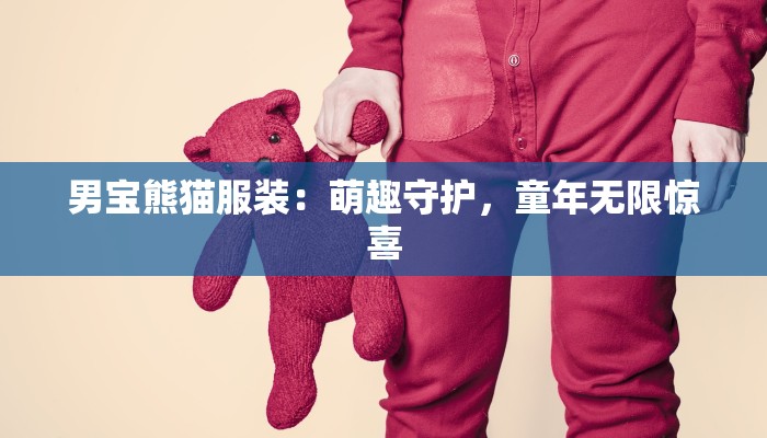 男宝熊猫服装：萌趣守护，童年无限惊喜