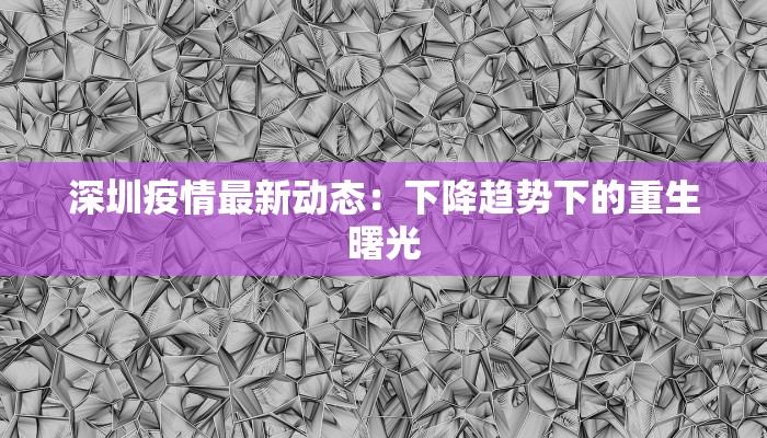 沈阳申通快递物流异常：解密背后的真相与应对之道