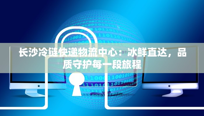 长沙冷链快递物流中心：冰鲜直达，品质守护每一段旅程