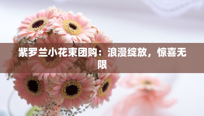 紫罗兰小花束团购:浪漫绽放,惊喜无限 紫罗兰小花束团购:浪漫绽放,惊喜无限
