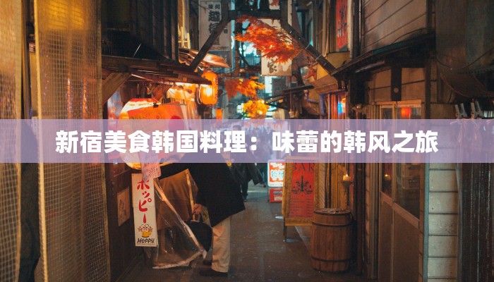 新宿美食韩国料理：味蕾的韩风之旅