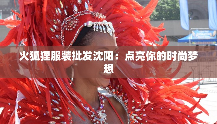 火狐狸服装批发沈阳：点亮你的时尚梦想